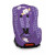 Bertoni Pilot Violet Baby Owl